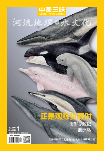 2025年第1期