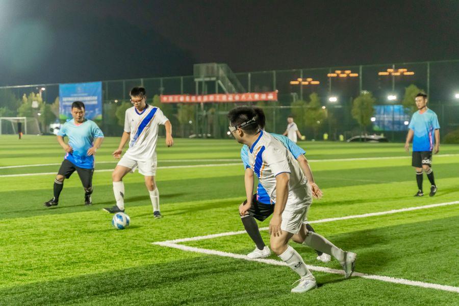 13388252611893199609